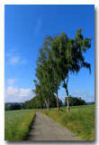 Vogtland